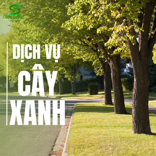 Dịch Vụ Cây Xanh